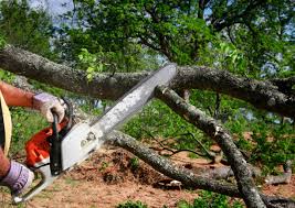 Lawn Grading and Leveling in Graham, TX